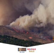 David Morris Group - Relocation Guide Wildfire Emergency Preparedness - reno wildfire emergency preparedness plan - reno relocation guide - reno wildfires