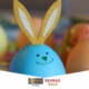 Why Does a Bunny Have Eggs-David Morris Group Re_MAX-Reno Sparks Real Estate